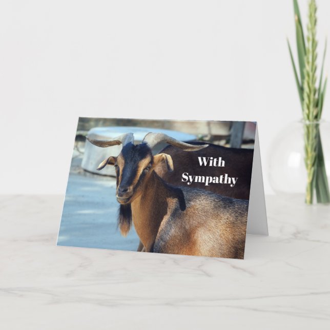 Goat Black Brown Animal Photo Sympathy Card (Front)