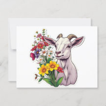 Goat Bouquet Post Card