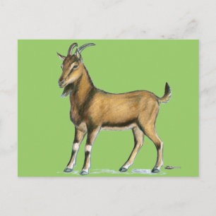 Goat:  Brown Postcard