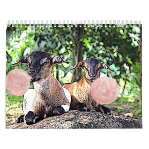 GOAT   Bubblegum Watercolor Painting Goat Calendar