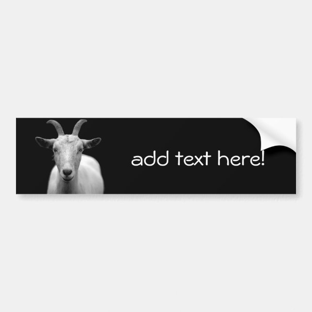 Goat Bumper Sticker (Front)