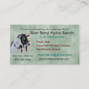 Goat Business Card- customize-add your own photo Card
