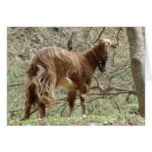 Goat Card