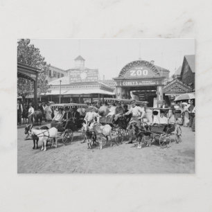 Goat Carriages at Coney Island, 1910 Postcard