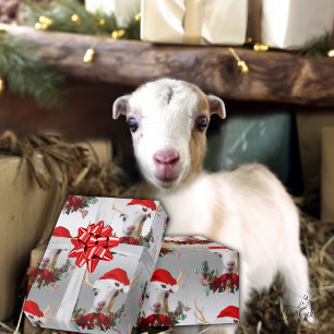 Goat Christmas Adorable LaMancha Kid in Antlers Wrapping Paper