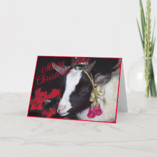 Goat Christmas Card Rufus