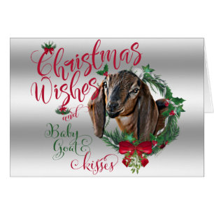 GOAT Christmas Wishes Baby Goat Kisses Nubian 2
