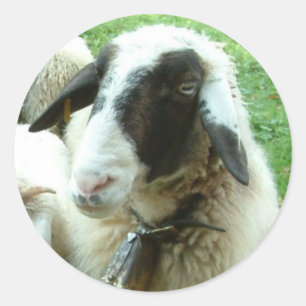 Goat Classic Round Sticker