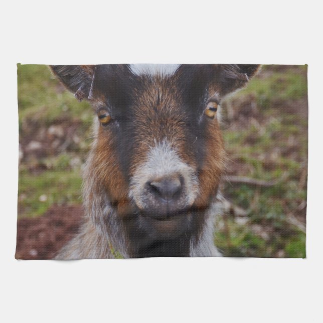 Goat close up. kitchen towel (Horizontal)