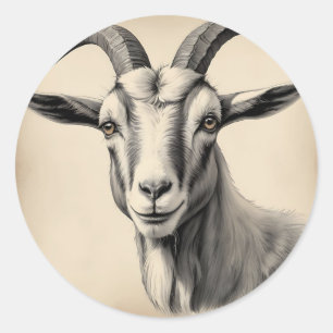 Goat Etching in Fine Lines Classic Round Sticker