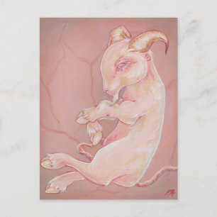 Goat fetus creepy oddity gothic lowborw postcard