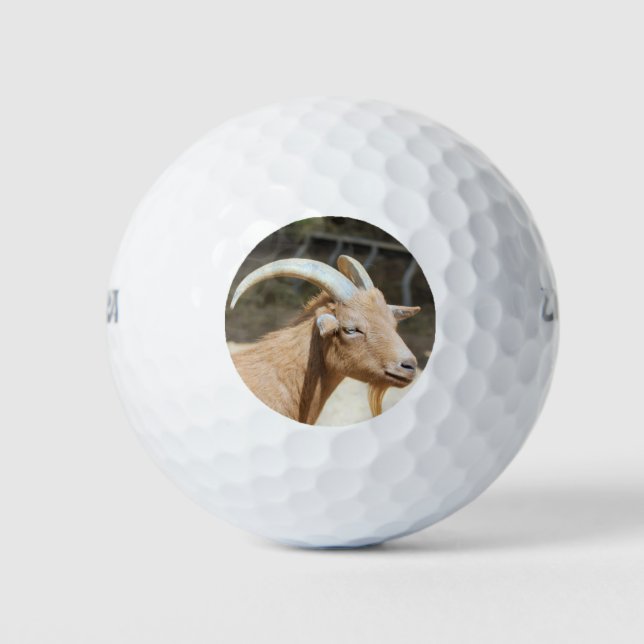 Goat Golf Balls (Front)