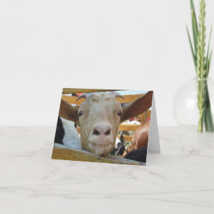 Goat Hello Card