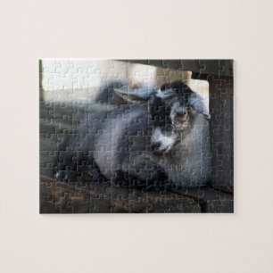 Goat Jigsaw Puzzle