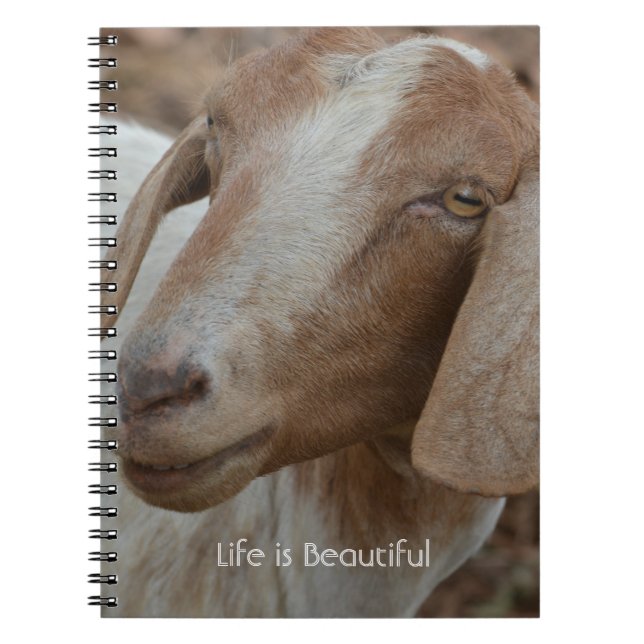 Goat Kauai (my photography) Notebook (Front)