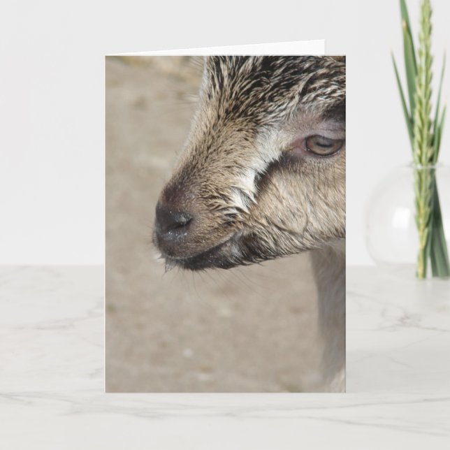 Goat Kid Card (Front)