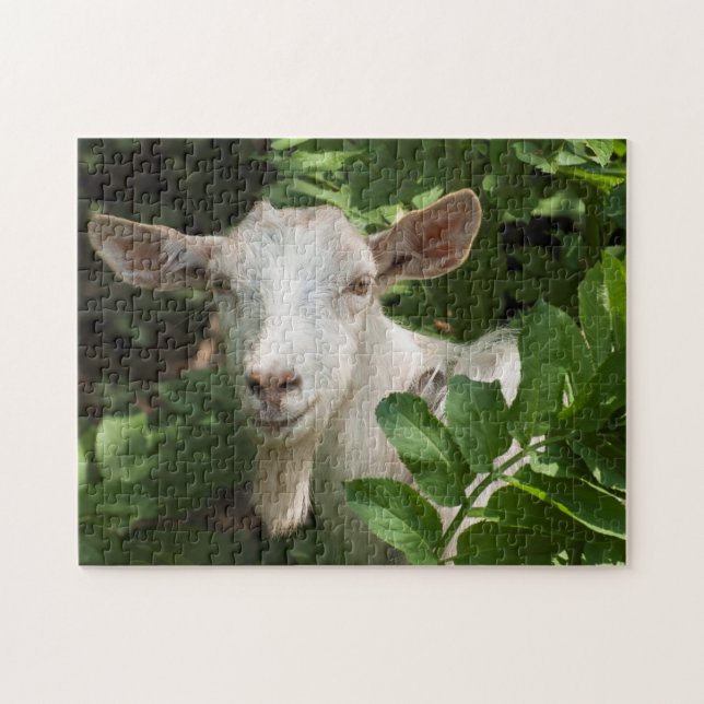 Goat looking at camera jigsaw puzzle (Horizontal)