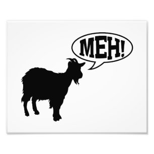 Goat Meh Photo Print