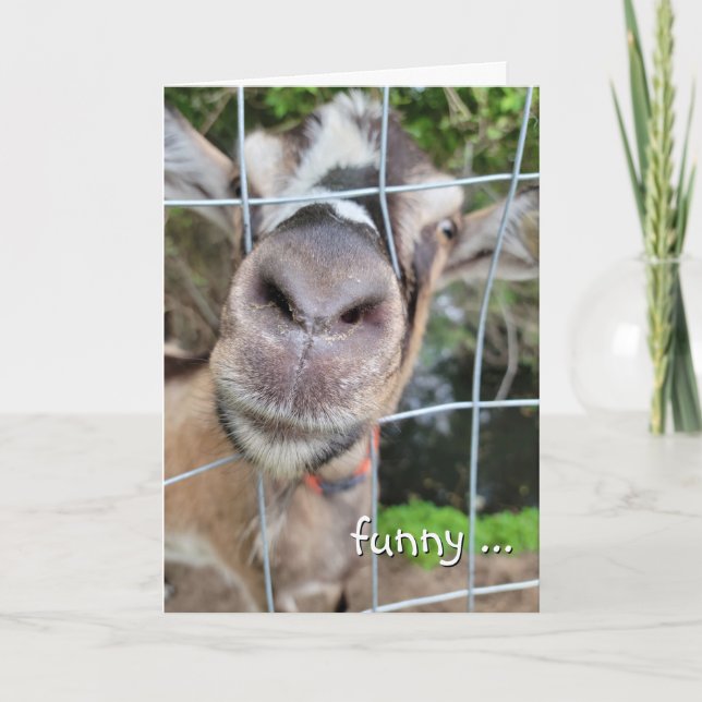 Goat Nose Birthday Humour Card (Front)