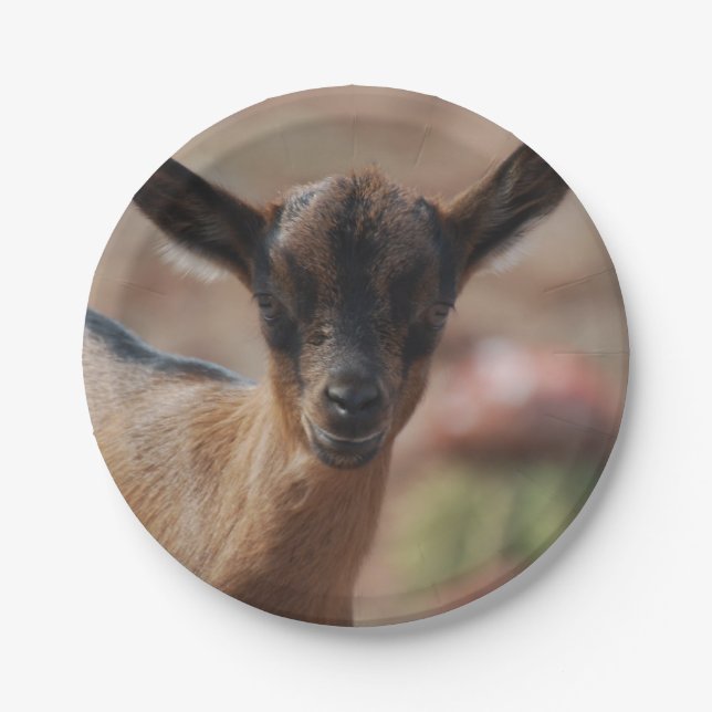 Goat Paper Plate (Front)
