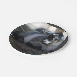 Goat Paper Plate