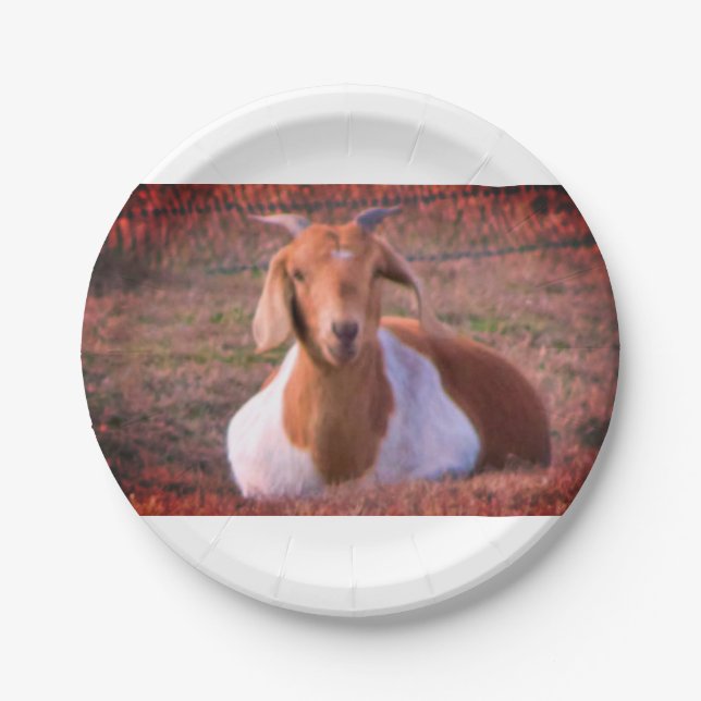Goat Photo Paper Plate (Front)