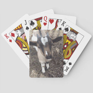 Goat Photo Playing Cards