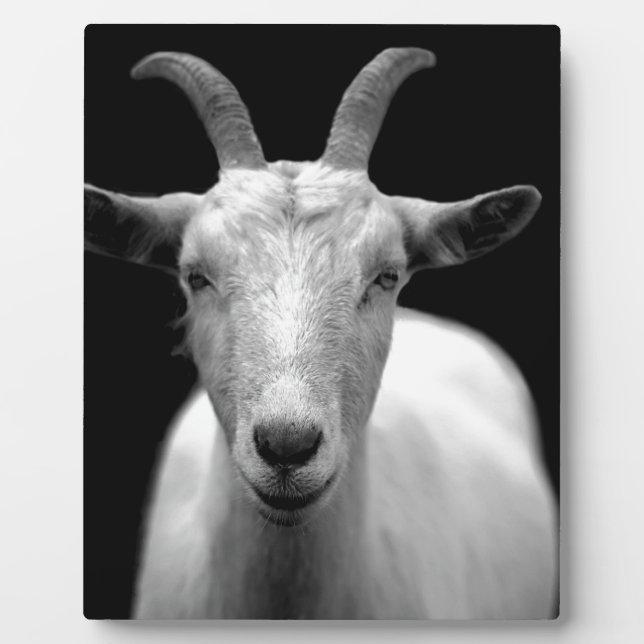 Goat Plaque (Front)