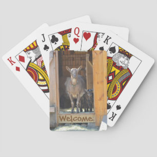 Goat Playing Cards