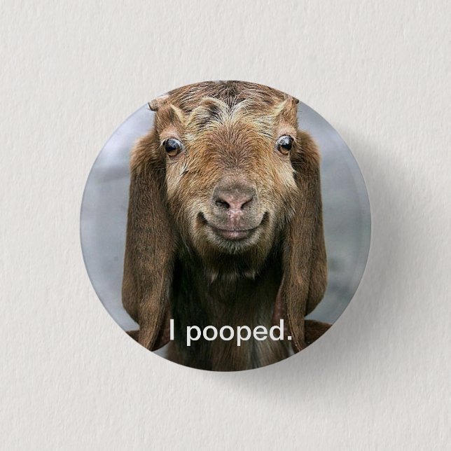 Goat pooping. 1 inch round button (Front)