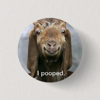 Goat pooping. 1 inch round button
