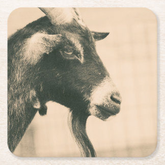 Goat Profile Square Paper Coaster