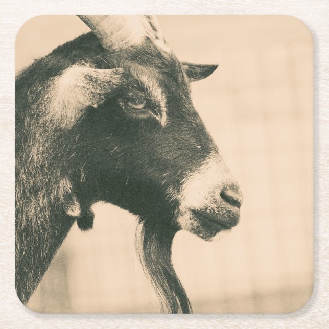 Goat Profile Square Paper Coaster (Front)