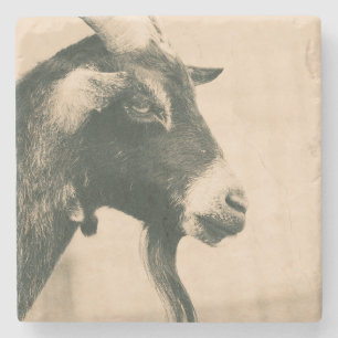 Goat Profile Stone Coaster