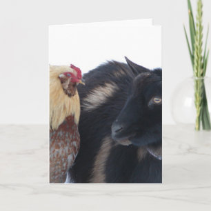 GOAT &ROOSTER FRIENDS IN SNOW CARD