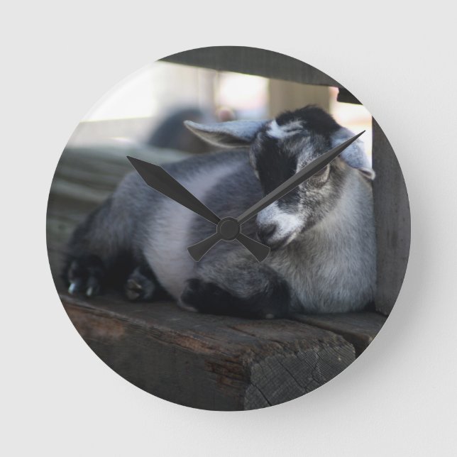 Goat Round Clock (Front)
