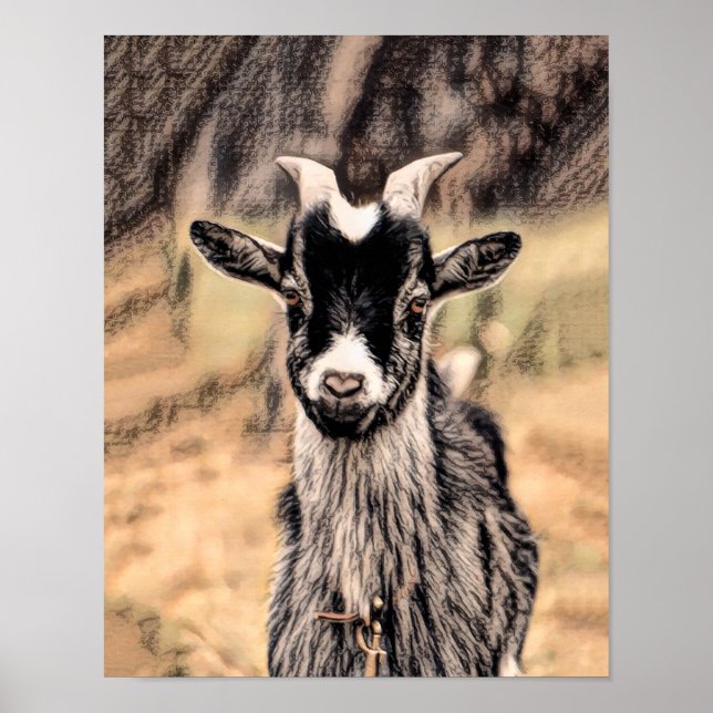 Goat Rustic Vintage Country Farm Animal Poster (Front)