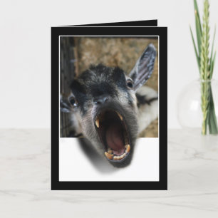 Goat Screaming to Get Out Card