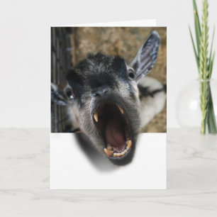 Goat Screaming to Get Out Card