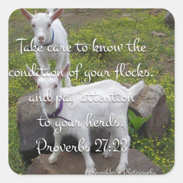 Goat Scripture Sticker (Front)