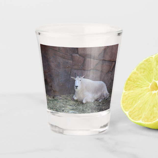 Goat Shot Glass (Front)