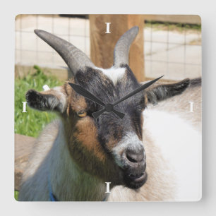 GOAT SQUARE WALL CLOCK