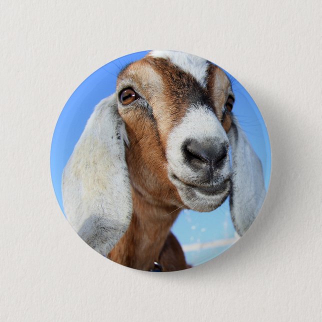 Goat star 1.jpg 2 inch round button (Front)