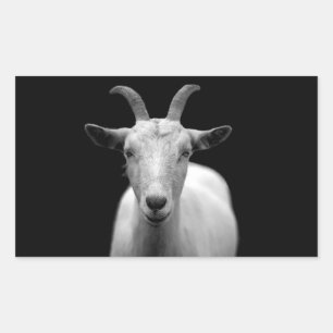 Goat Sticker