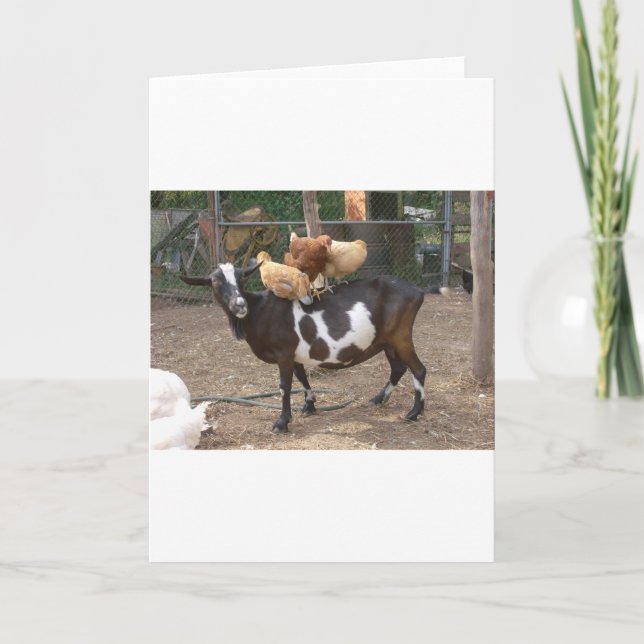 Goat taxi card (Front)