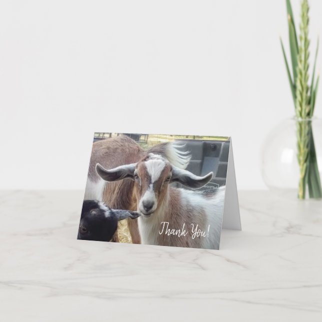 Goat Thank You Card (Front)