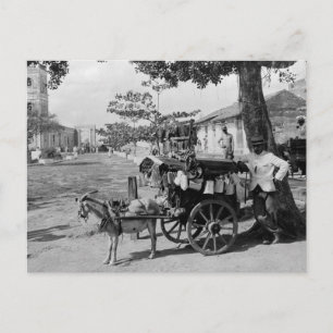 Goat Wagon Peddler, Cuba: 1920 Postcard
