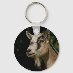 Goat Watching Keychain