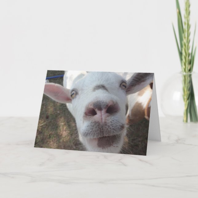 Goat Who Stared at Man Greeting Card (Front)