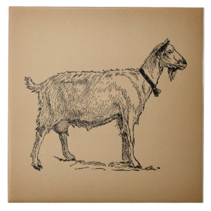 Goat with Bell Illustration Antique Aged Brown Tile